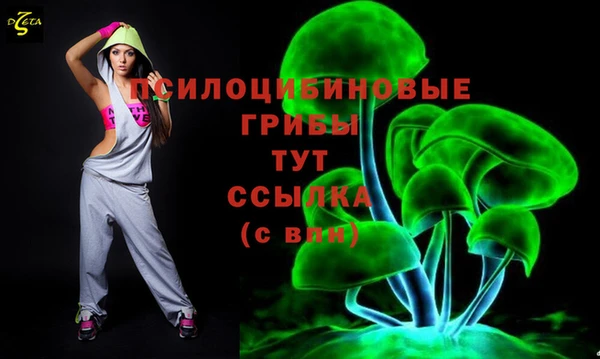 СК Мегион
