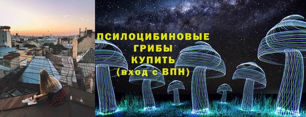 СК Мегион