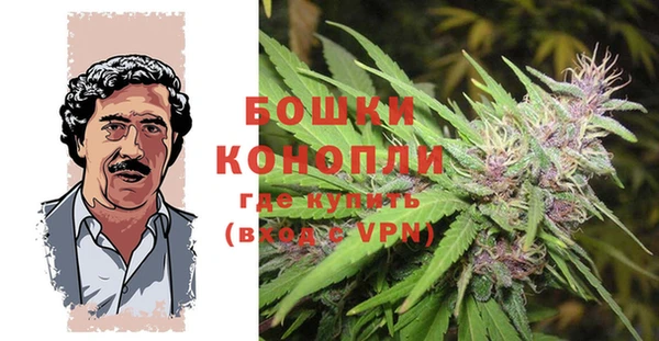 СК Мегион