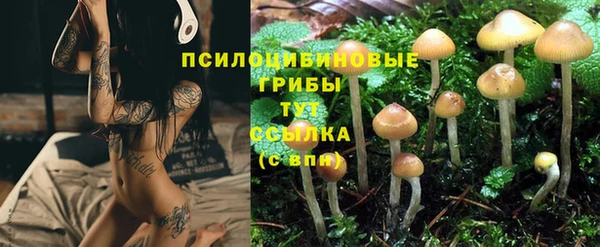 ALPHA PVP Бронницы