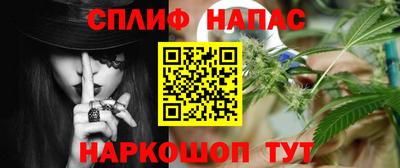 спиды Гусев