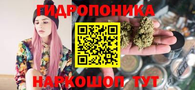 спиды Гусев
