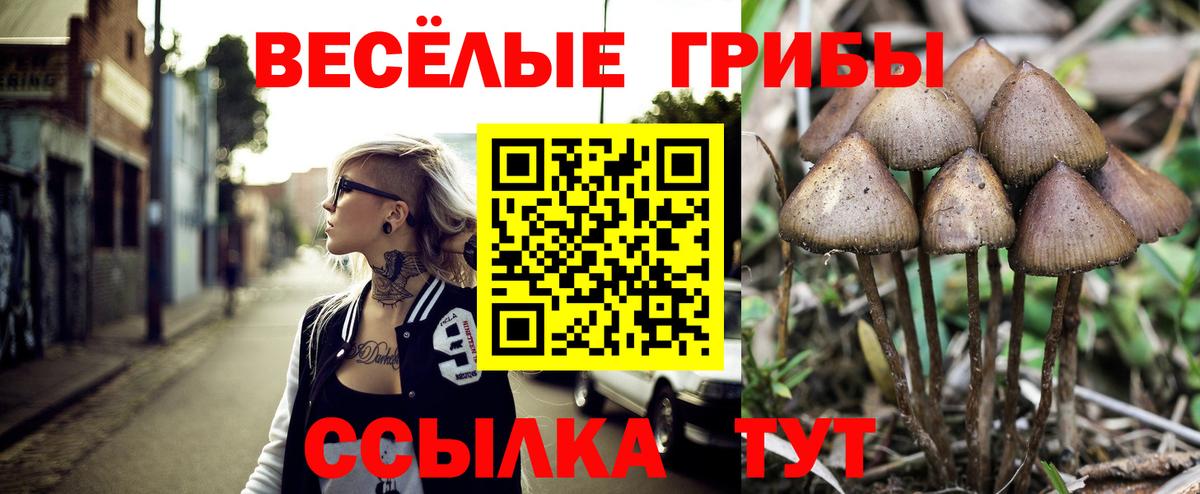 Псилоцибиновые грибы мухоморы  Вход с VPN  Псилоцибиновые грибы Psilocybe  Каменск-Шахтинский 