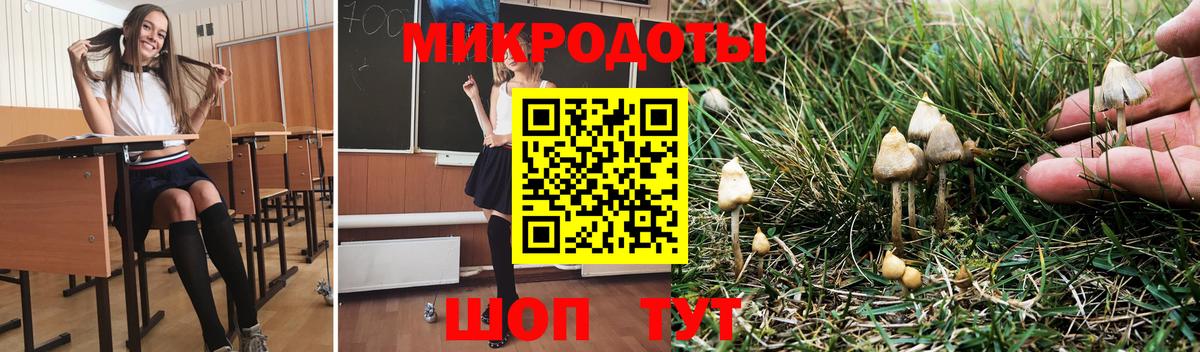 Псилоцибиновые грибы GOLDEN TEACHER Каменск-Шахтинский